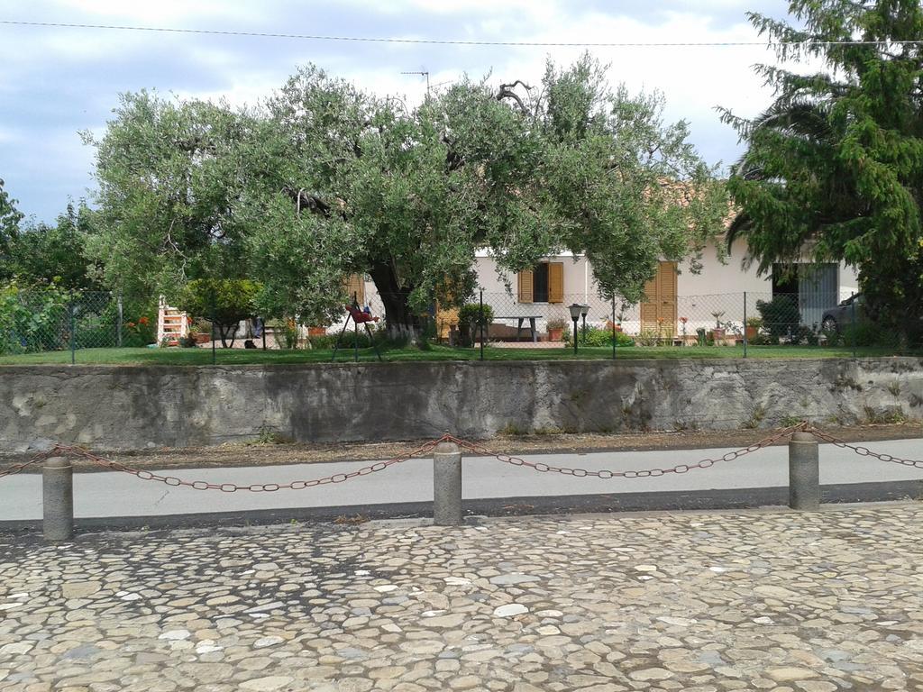 Villa Etna 皮耶迪蒙泰埃特内奥 外观 照片
